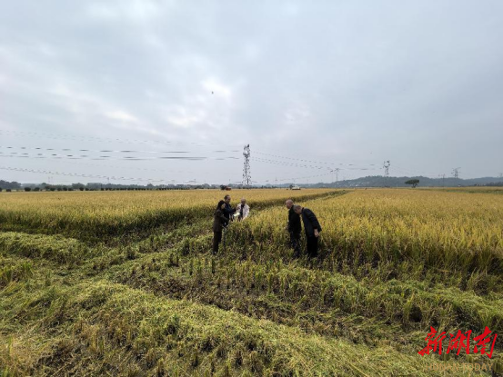 aba4cda182411b3d4a7626ea16fcea925dd17dfe1762085518161