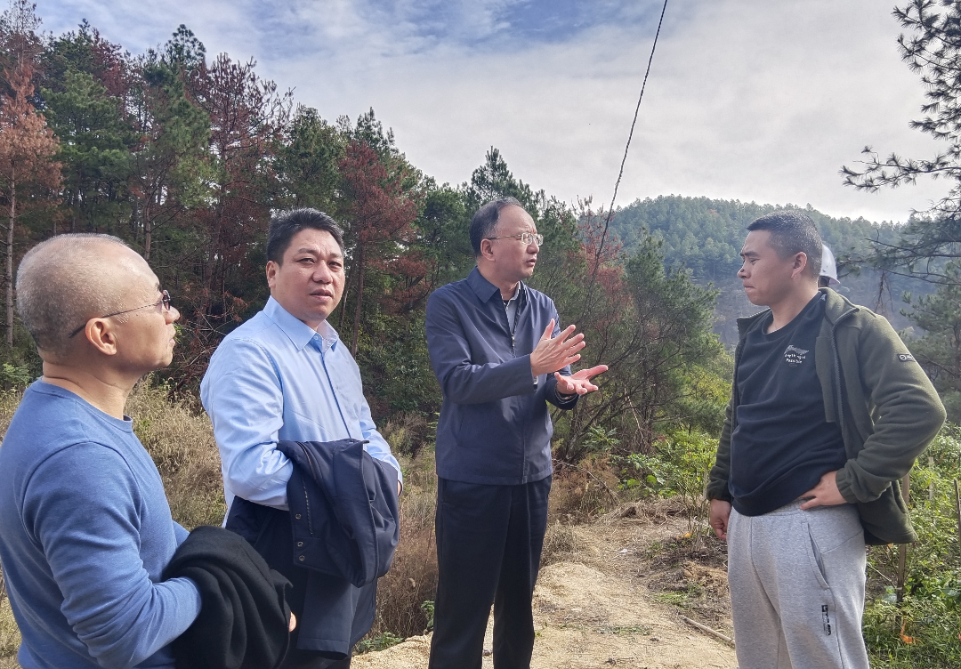 /DFS//file/2025/11/08/20251108164730260ct5tvw.png?iid=547882