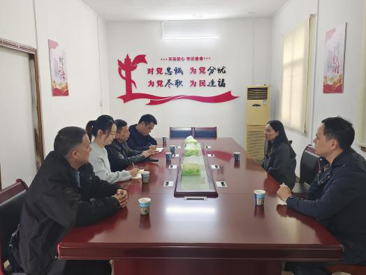 深入一线摸实情，精准施策促增效