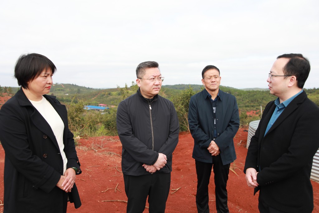 微信图片_20251116210838