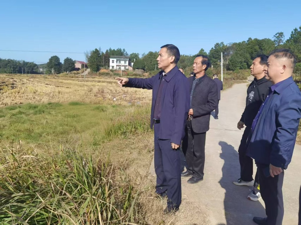 衡阳市民政局调研乡村振兴联点帮扶工作