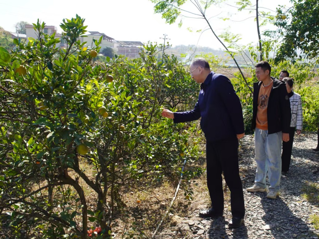 微信图片_20251127175152