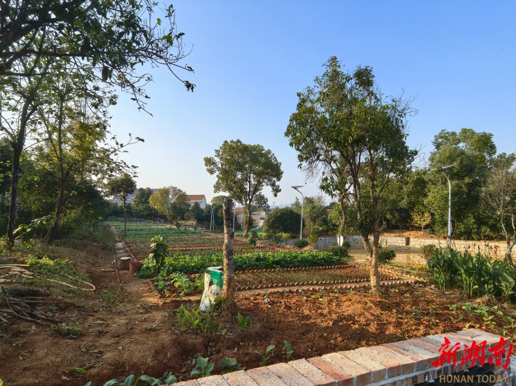 6065e3500effaa2b9ceb930803e05587e7e5eddd1764411239382