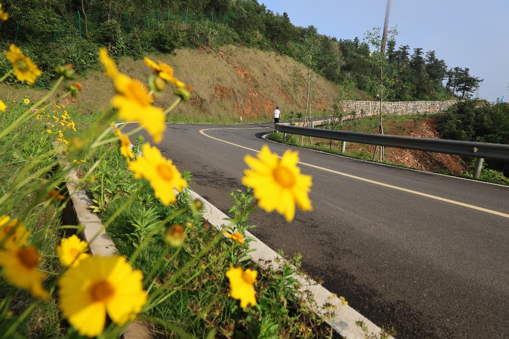 fcf142bf725e60df0d82c4729c2d78a2