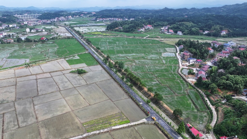 a9ad5ed232200c7fd8ea098bf98d630d