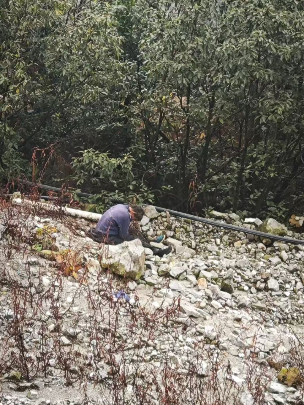 微信图片_20260113162342