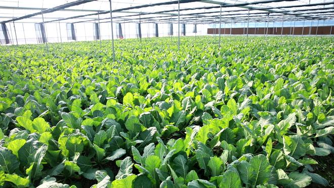 306f967aa3bfea5ca683647e69888fd8a79258c01769060359210