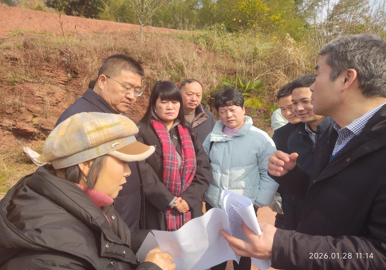 图片43_22585图片43