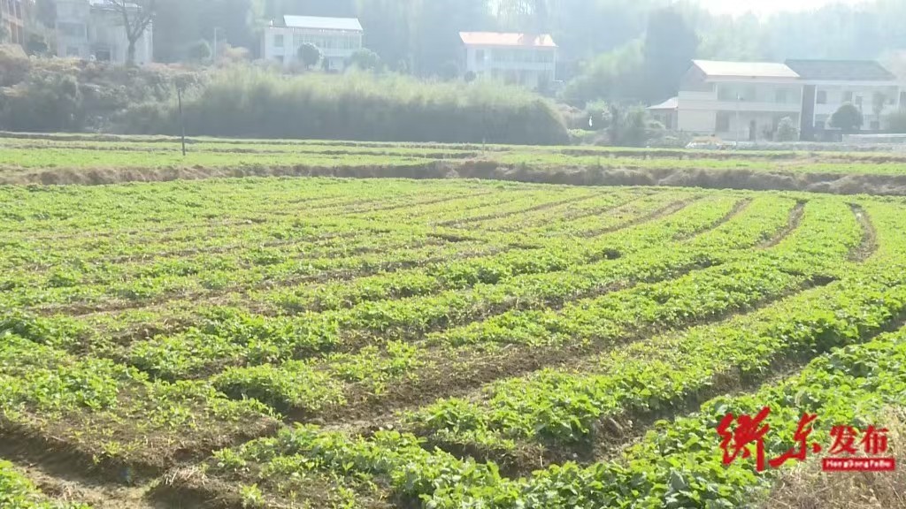 微信图片_20260203095200