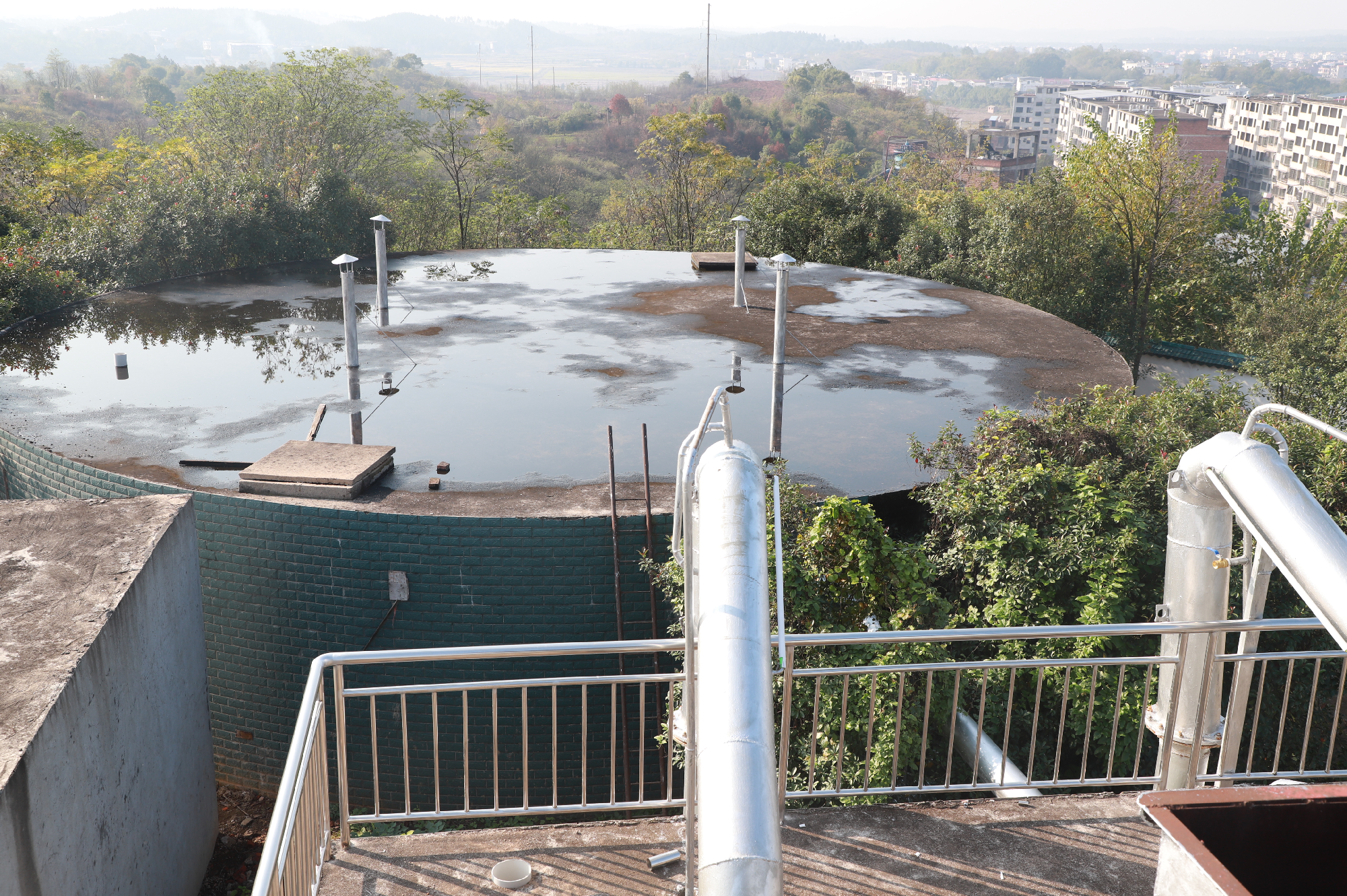 图片79_10020图片79