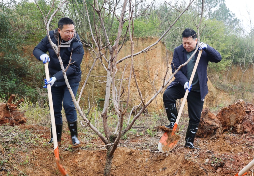 微信图片_2026-03-11_091322_341