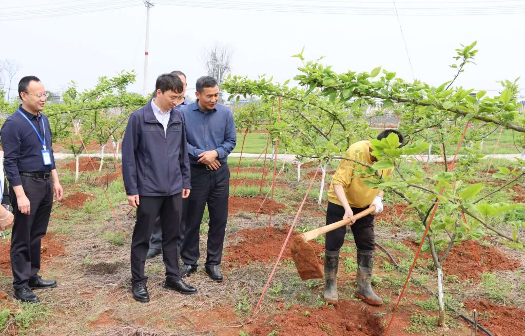 微信图片_20260410094055