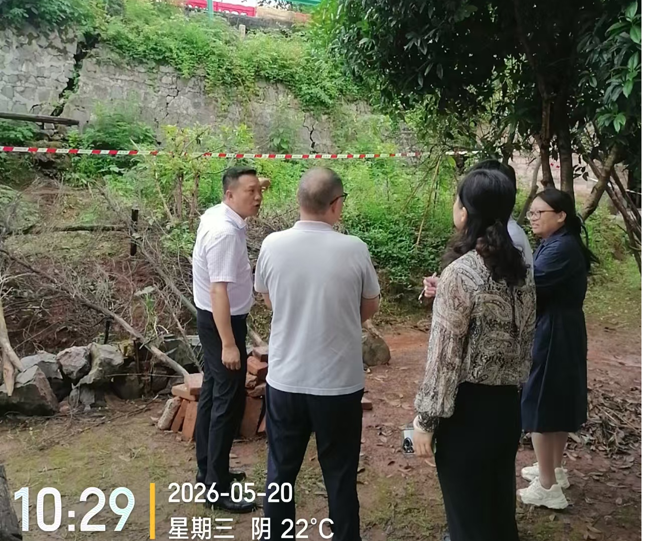 图片7