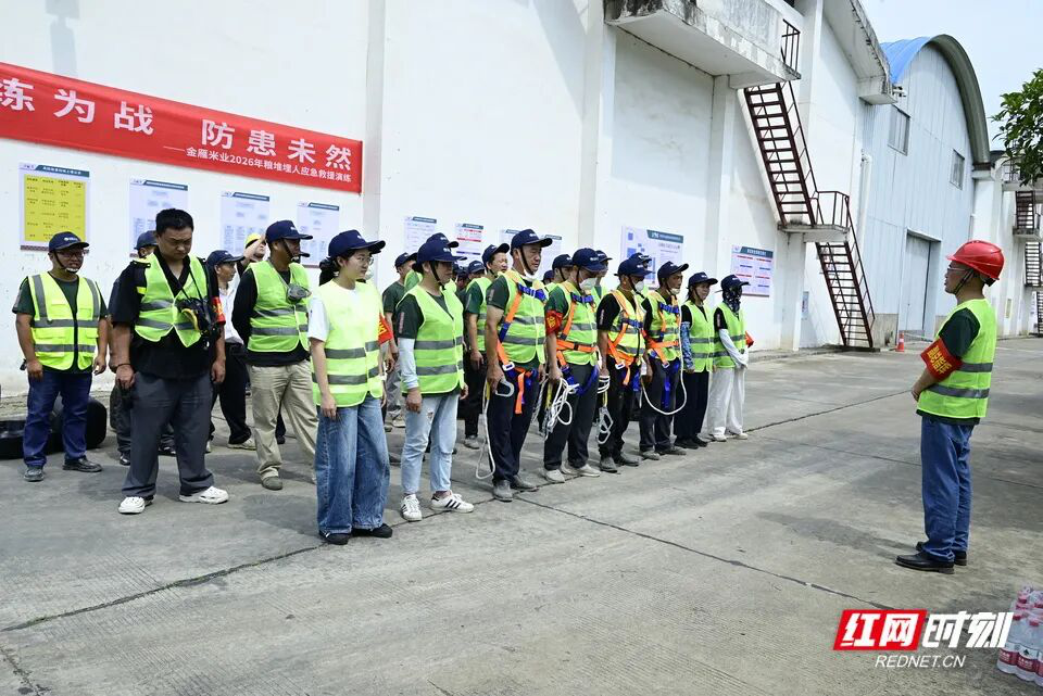 图片12