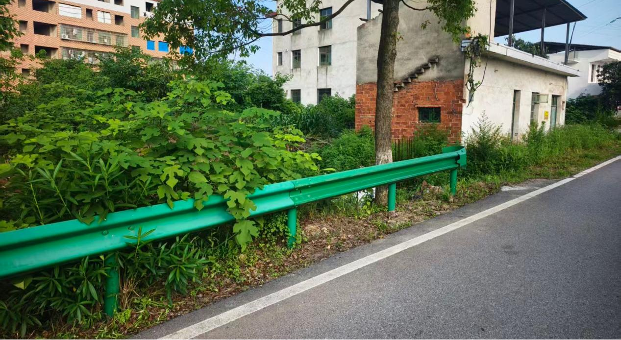 图片5_92226图片5