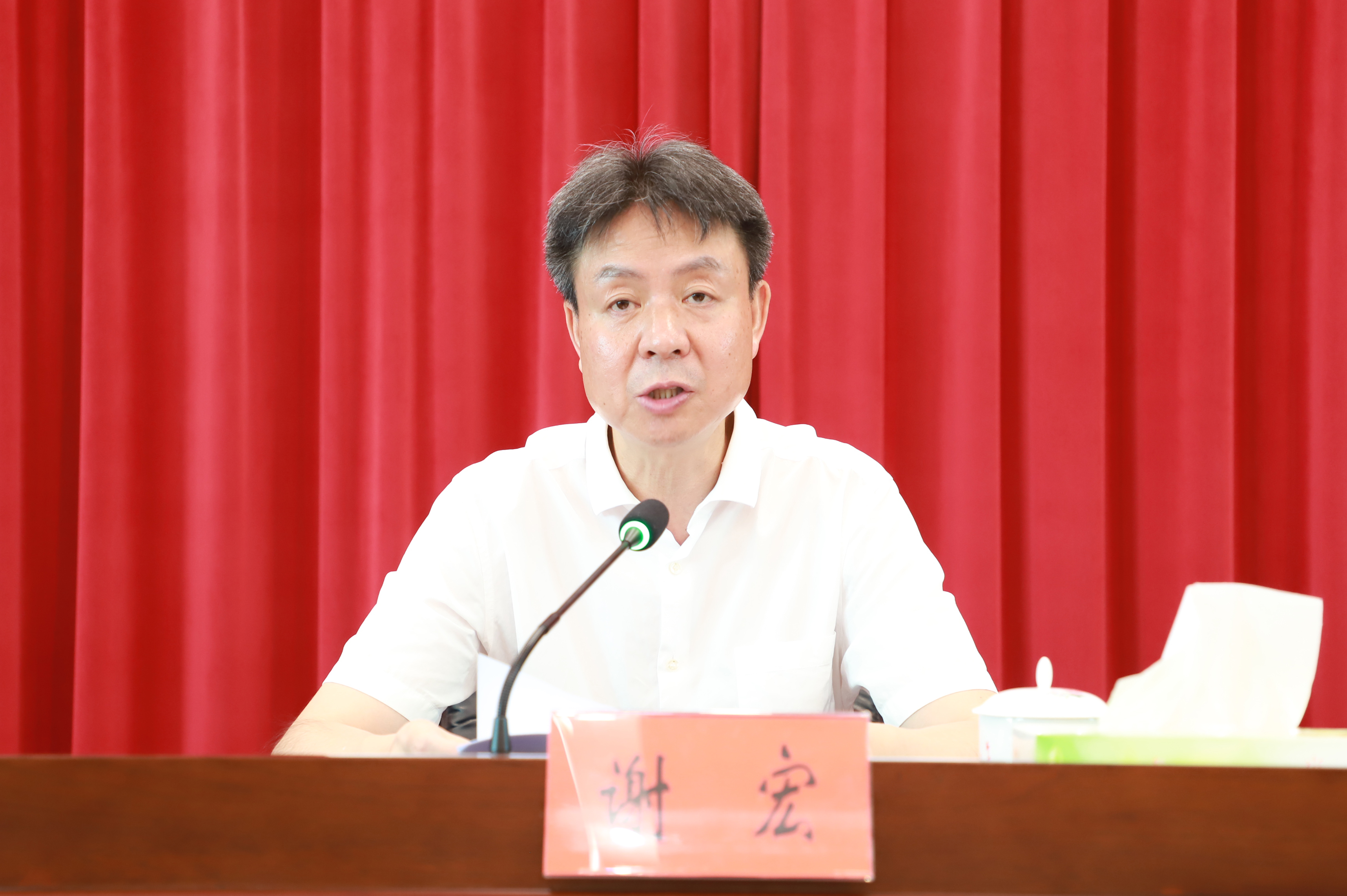 图片231