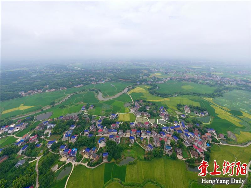[衡山县] 飞"阅"小康丨衡山龙塘村:幸福"莲莲"看-湖南省建设快讯