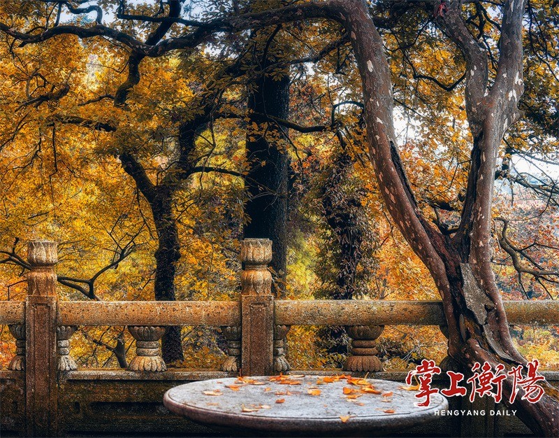 衡阳市人民政府门户网站-一山两季,南岳赏醉美秋景佳期来啦!