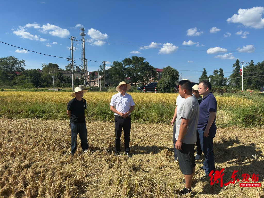 衡阳市人民政府门户网站-[衡东县] 陈植华调研秸秆综合利用工作情况