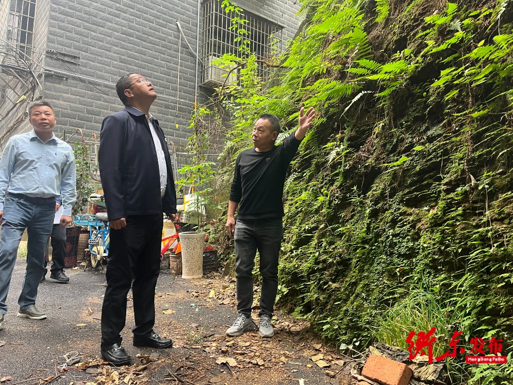 衡阳市人民政府门户网站-[衡东县] 陈植华调研地质灾害治理工作