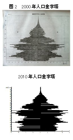 人口综述_“十三五”时期以来重庆人口发展综述之人口文化素质和健康水平