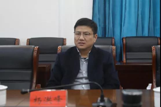 杨洪峰
